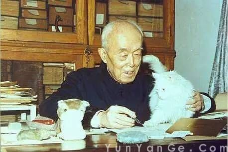 季羡林：如何面对苦难，决定了你对生命的认知。