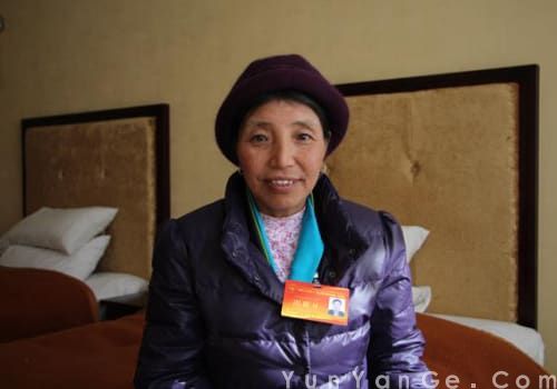 卓嘎：乡心正无限，凤德咏馀芬。